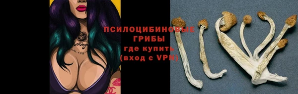 стафф Навашино